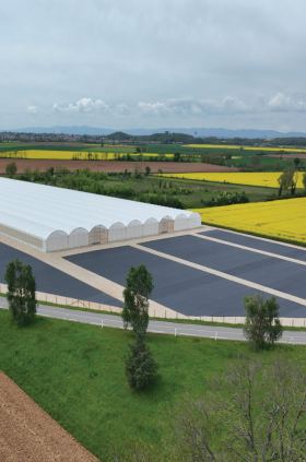 Pacciamatura di alta qualità per vivai