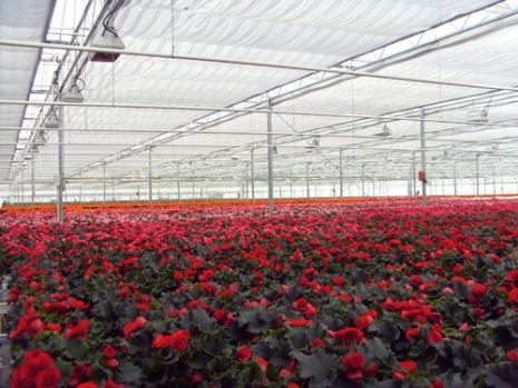 Teli per coibentazione Ombreggio