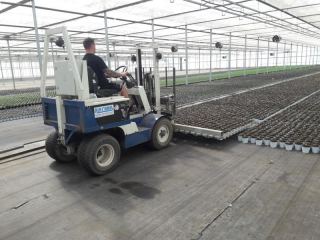 Floraplus - Tappetini per la subirrigazione in vaso