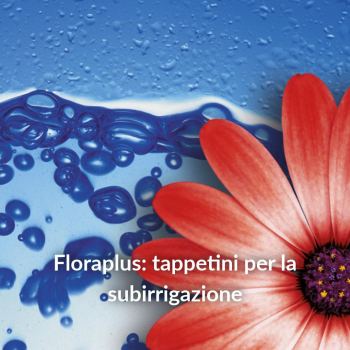 Tappetini per la subirrigazione in vaso