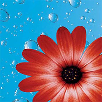 Tappetini per la subirrigazione in vaso