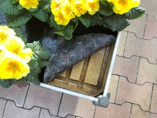 floraplus tappetino per la pacciamatura