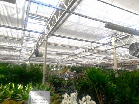 Teli per coibentazione ombreggio