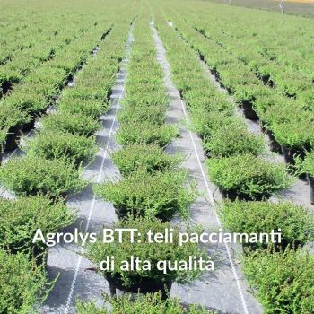 Teli per pacciamatura e teli antialga per vivai Agrolys