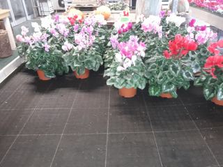 Dopo 23 anni e ancora in buono stato