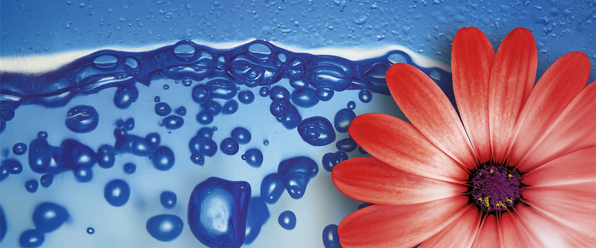 Tappetino per subirrigazione in vaso